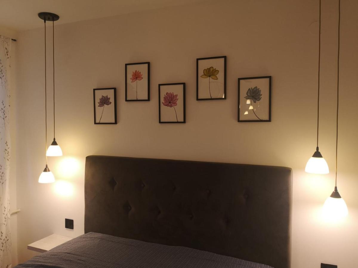 Apartman Darvin / Lux Βελιγράδι Εξωτερικό φωτογραφία